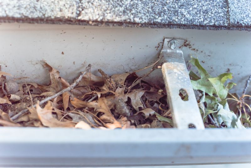 Debris-Free Gutters