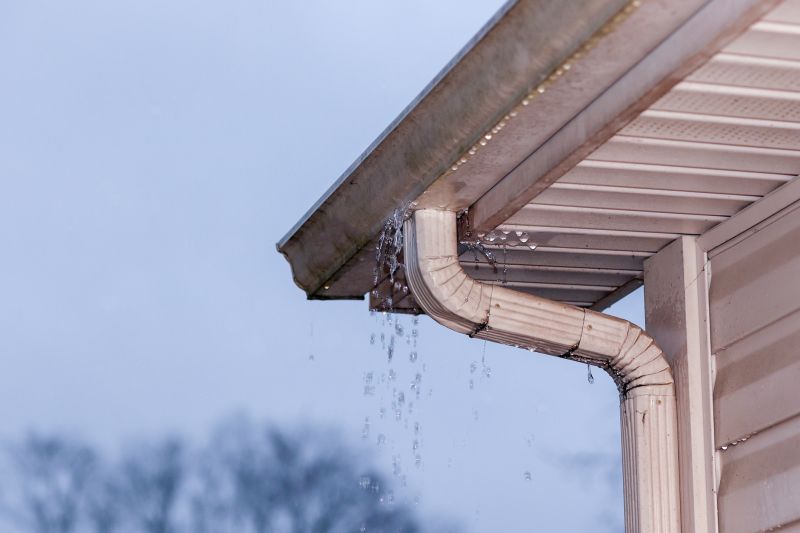 Assessing Gutter System Efficiency
